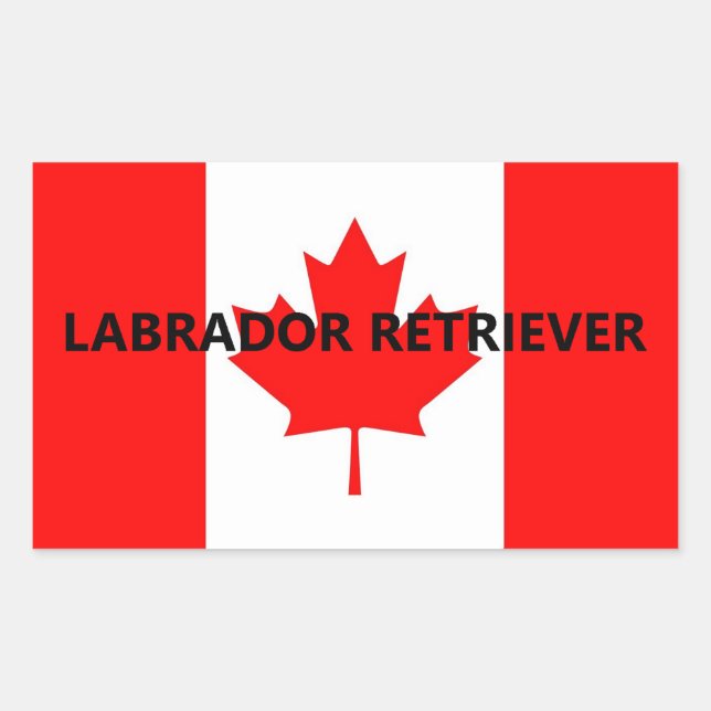 Labrador Retriever Name On Flag Rectangular Sticker (Front)