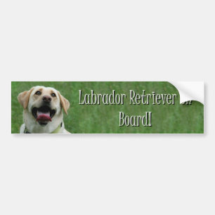 Labrador Retriever on board bumper sticker