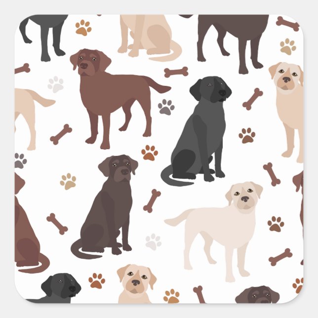 Labrador Retriever Paws and Bones Square Sticker (Front)