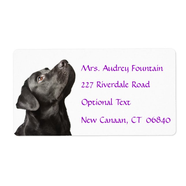 Labrador Retriever Personalised Name Address Label (Front)