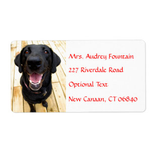 Labrador Retriever Personalised Name Address Label