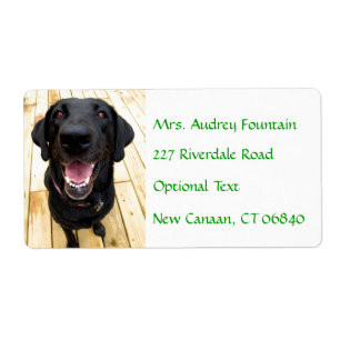 Labrador Retriever Personalised Name Address Label