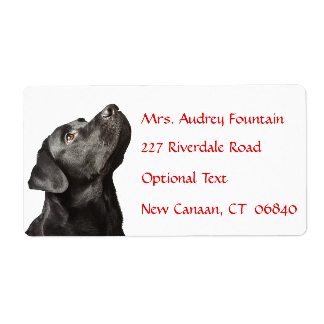 Labrador Retriever Personalised Name Address Label (Front)