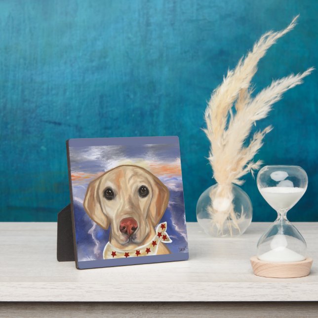 Labrador Retriever    Plaque (Insitu)