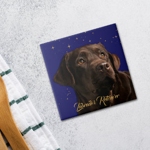 Labrador Retriever Portrait Starry Sky Background Tile