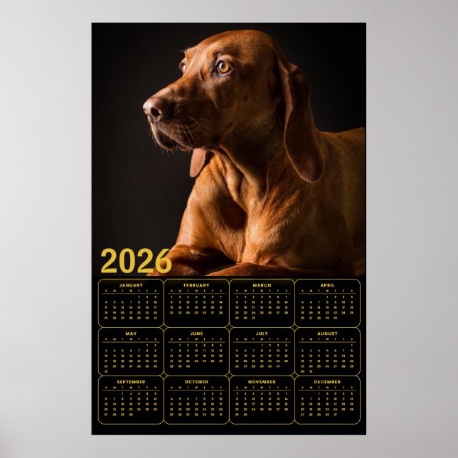 Labrador Retriever Portrait with 2026 Calendar Poster (Front)