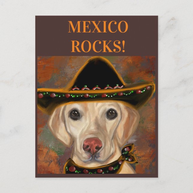 Labrador Retriever    Postcard (Front)
