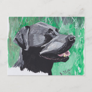 Labrador Retriever Postcard