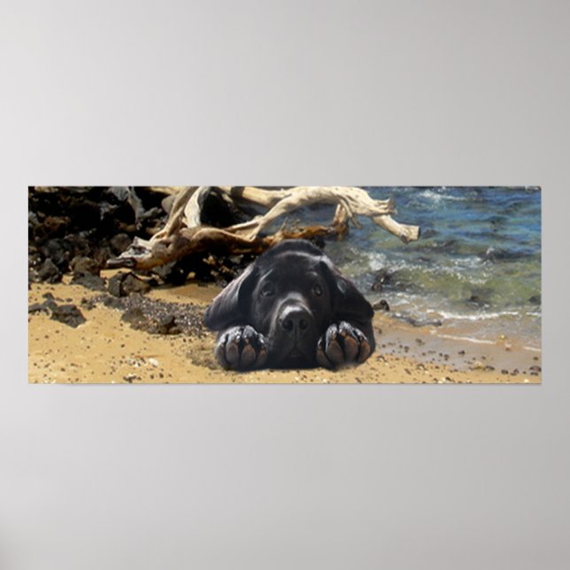 Labrador Retriever Poster Beach (Front)