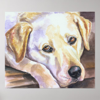 Labrador Retriever Print