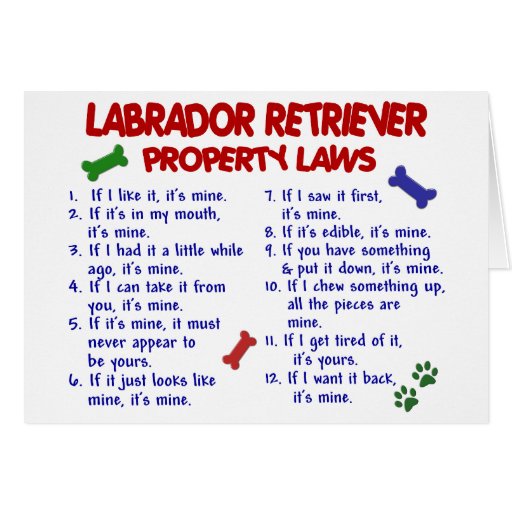 Image of LABRADOR RETRIEVER Property Laws