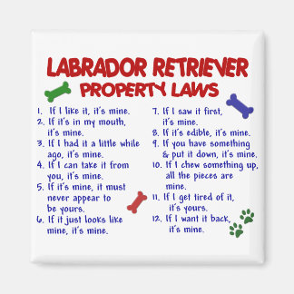 LABRADOR RETRIEVER Property Laws Magnet