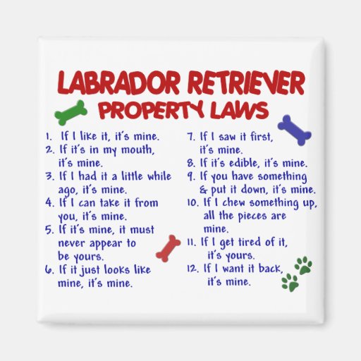 Image of LABRADOR RETRIEVER Property Laws Magnet