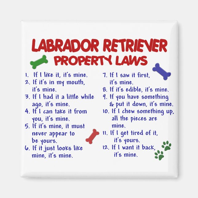 LABRADOR RETRIEVER Property Laws Magnet (Front)