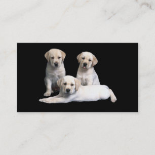 Labrador Retriever Puppies Business Card