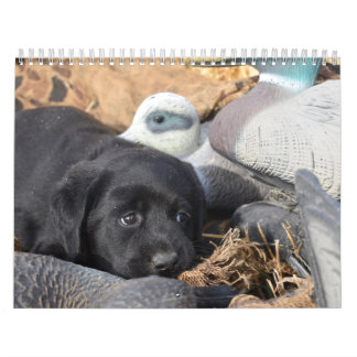 Labrador Retriever Puppies Calendar