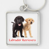 Labrador Retriever Puppies Premium Key Chain