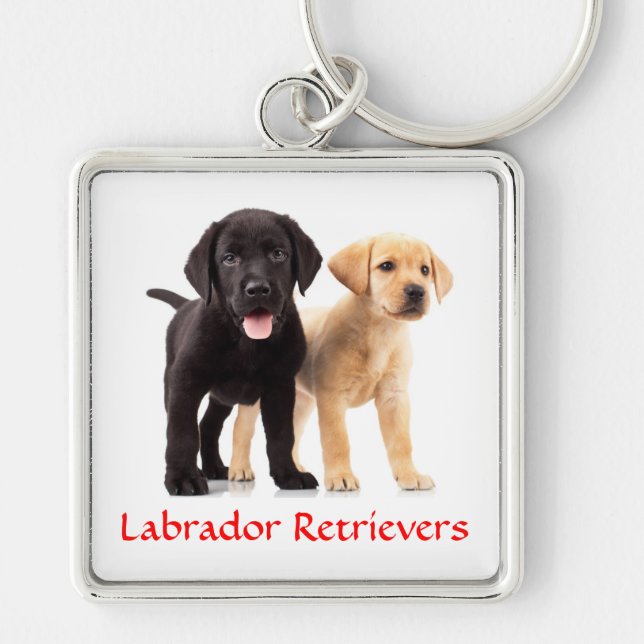 Labrador Retriever Puppies Premium Key Chain (Front)