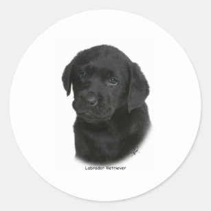 Labrador Retriever Puppy 9Y270D-041 Classic Round Sticker