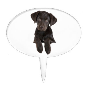 chocolate lab cake topper