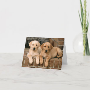 Labrador Retriever Puppy Dogs Note Card