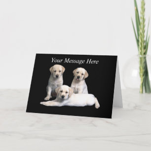 Labrador Retriever Puppy Greeting Card