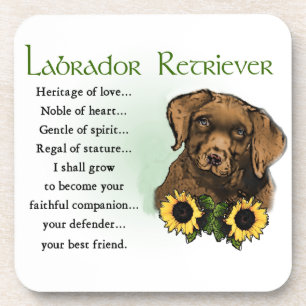 Labrador Retriever Puppy Heritage Gifts Coaster