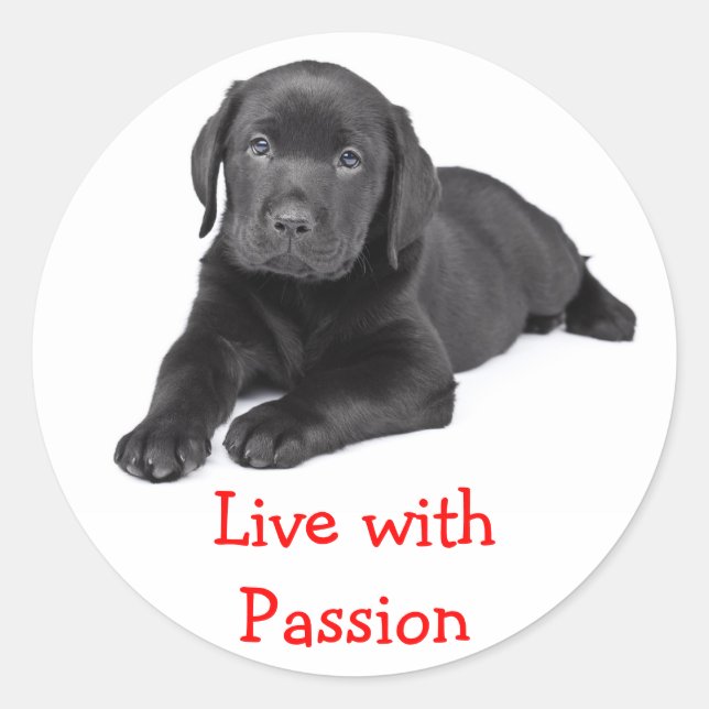 Labrador Retriever Puppy Live With Passion Sticker (Front)