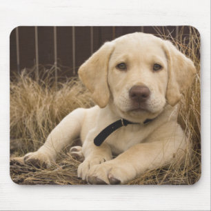 Labrador Retriever puppy Mouse Mat
