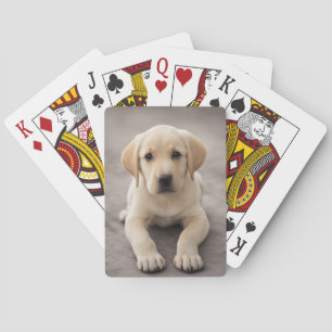 Labrador Retriever Puppy Playing Cards