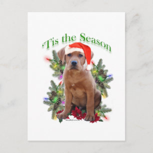 Labrador Retriever Puppy 'Tis the Season Postcard