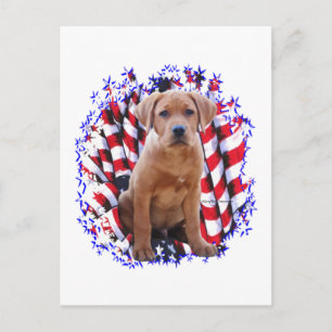 Labrador Retriever (red) Patriot Postcard