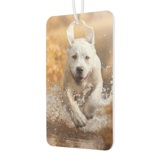 Labrador Retriever Running in River Air Freshener (Left)