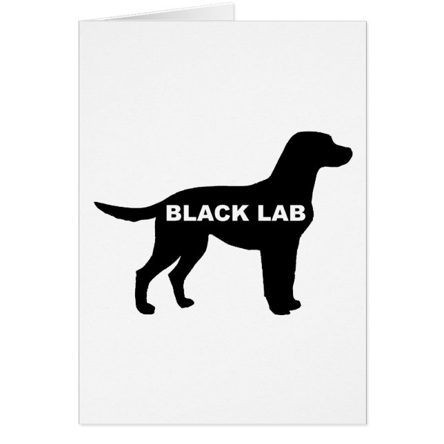 Labrador Retriever silo black (Front)