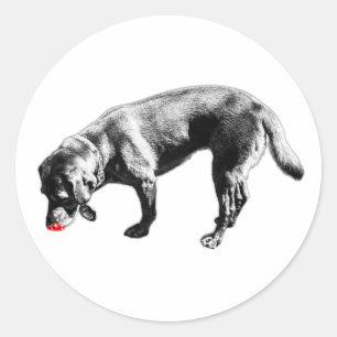 Labrador Retriever Sniffing Red Tongue Ink Art Classic Round Sticker