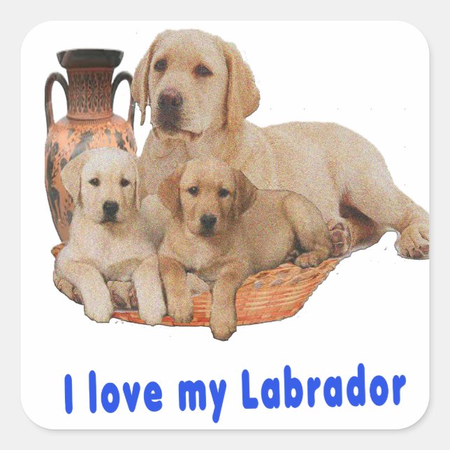 Labrador Retriever Square Sticker (Front)