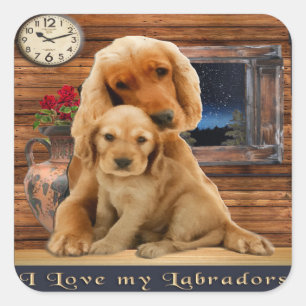 Labrador Retriever Square Sticker