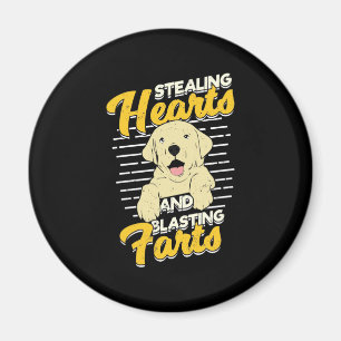 Labrador Retriever Stealing Hearts Magnet