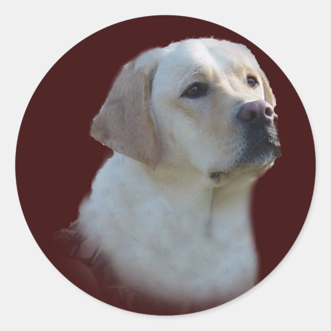 Labrador Retriever Sticker (Front)