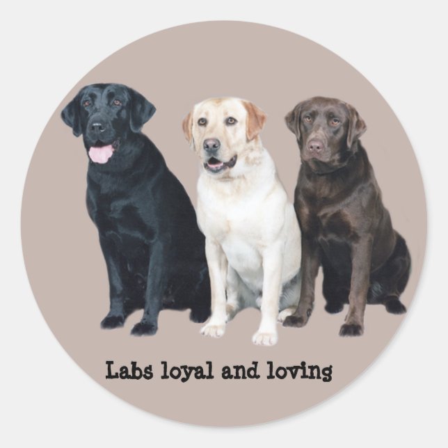 Labrador Retriever Sticker (Front)