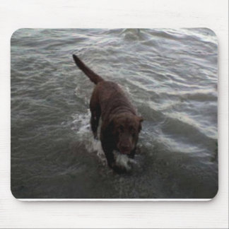 Labrador Retriever swimming Mouse Mat