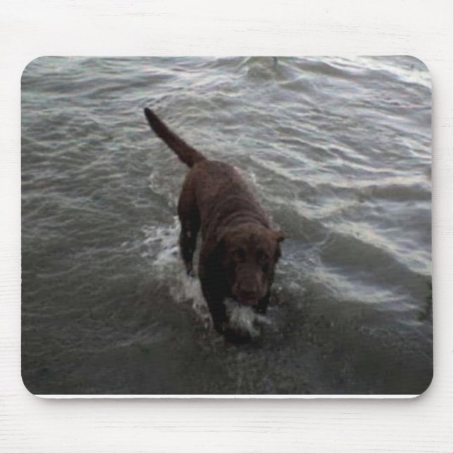 Labrador Retriever swimming Mouse Mat (Front)
