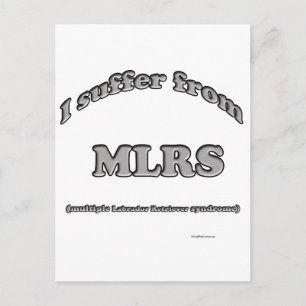 Labrador Retriever Syndrome Postcard