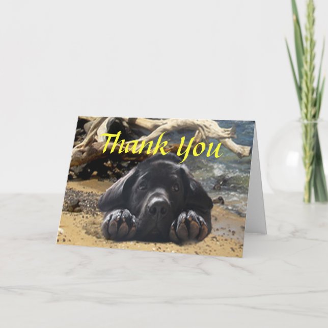 Labrador Retriever Thank You Card (Front)