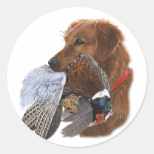 Labrador Retriever The Ultimate Bird Dog Classic Round Sticker