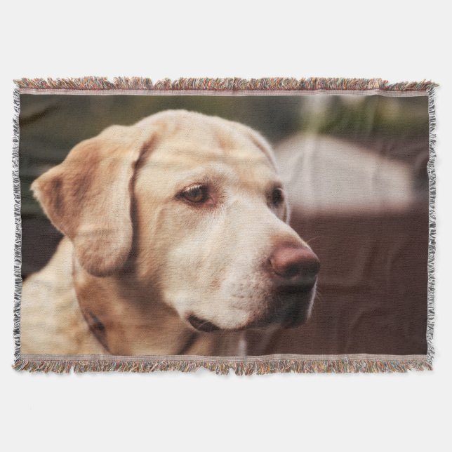 Labrador Retriever Throw Blanket (Front)
