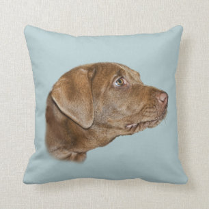 Labrador Retriever Throw Pillow, Customisable Cushion