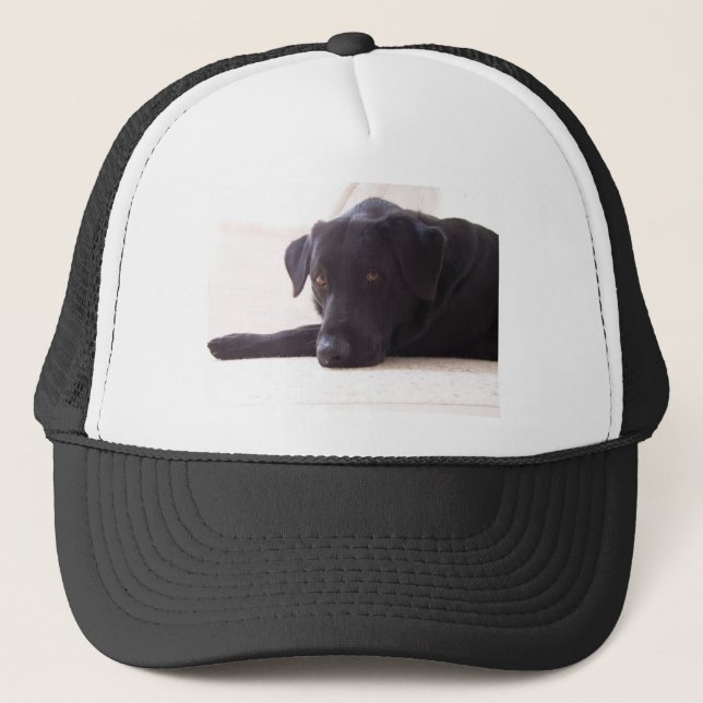 labrador retriever trucker hat (Front)