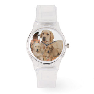 Labrador Retriever Watch
