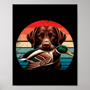 Labrador Retriever With Mallard Duck Hunting Poster